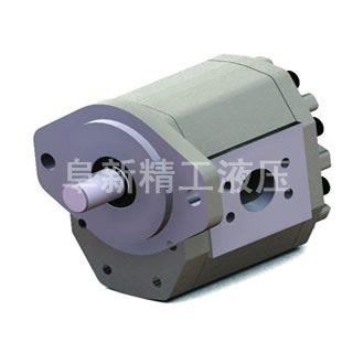 CBQ-F5(20-63)高压齿轮泵